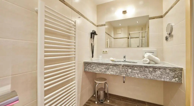 Одноместный номер Comfort Alpenhotel Rieger
