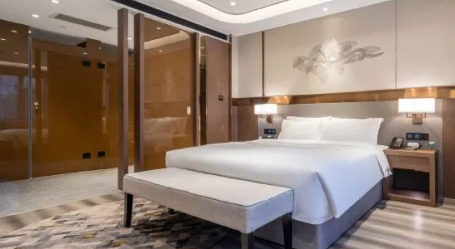 Люкс Deluxe The GiorgioMorandi Hotels (Jinan Jiefang Road Shandong University)
