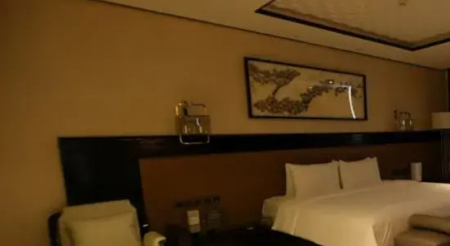 Люкс Deluxe Swisstouches Hotel Qinghai