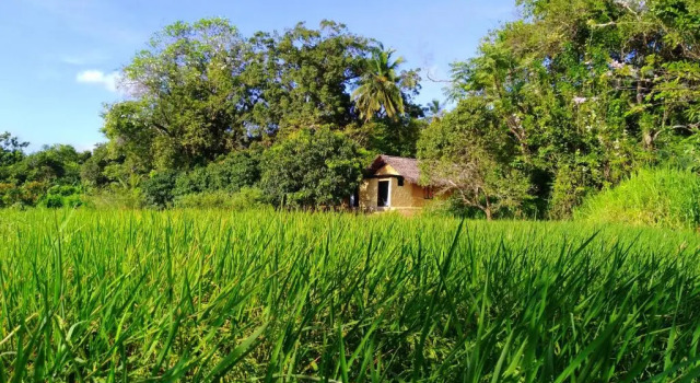 Cottage 1 camera da letto Raintree