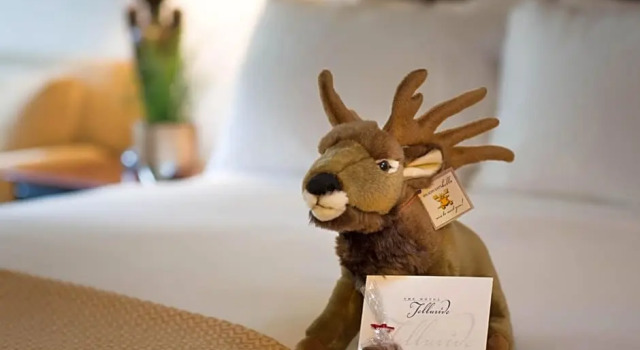Номер Standard The Hotel Telluride
