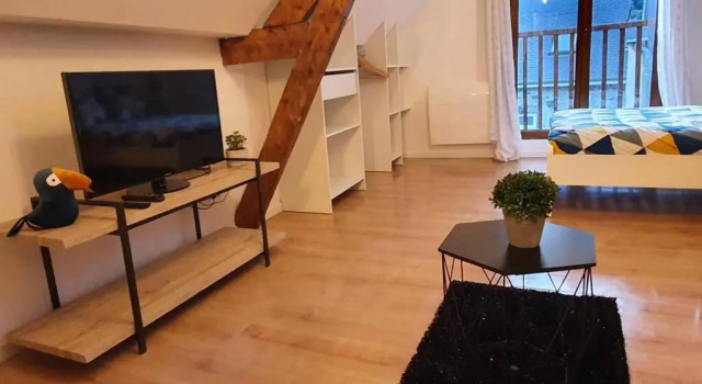 Charmant Studio Hyper Centre (Adults Only)