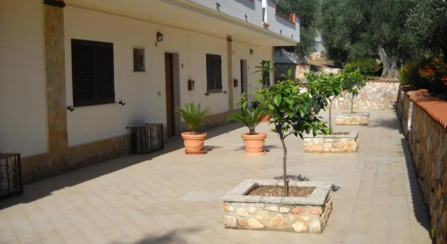 Студия Standard Zagare Residence