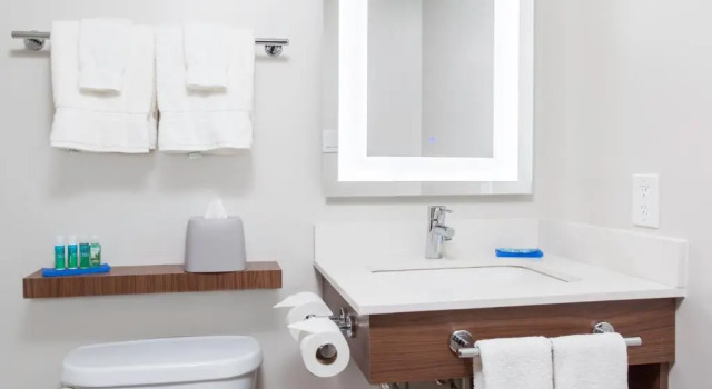 Номер Standard Holiday Inn Express & Suites Mississauga-Toronto Southwest by IHG