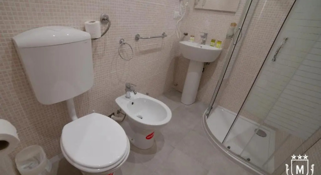 Двухместный номер Standard Hotel Moderno