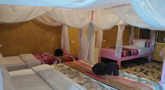 Orchid Hibiscus Guest House