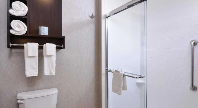 Четырёхместный люкс Homewood Columbia Laurel