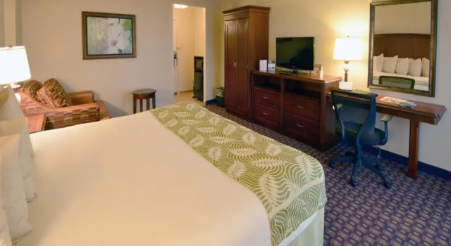 Двухместный номер Deluxe Rosen Inn Closest to Universal