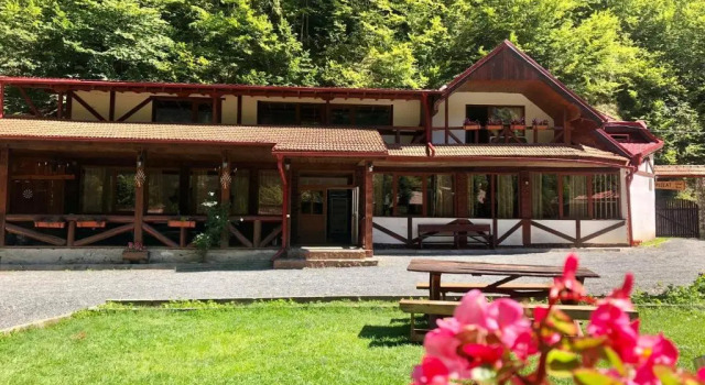 Коттедж с балконом и с красивым видом из окна Cabana Ovidiu