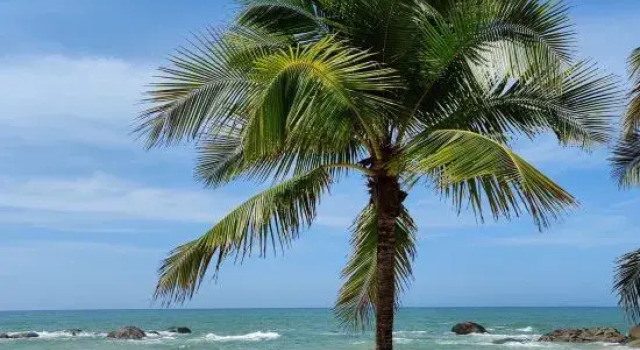 Dongji Island Homestay (Wenchang Qishuiwan Avenue Branch), Book Hotel Hotels in Hainan with a Pool, Swimming Pool