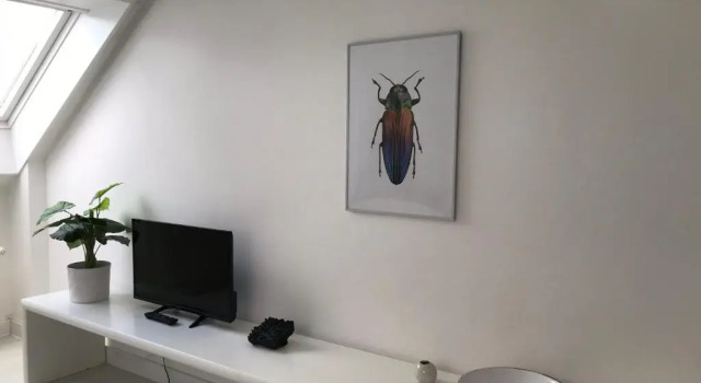 City Apartment gegenüber vom Kurhaus, Забронировать Апартаменты/квартира Апартаменты Фройденштадт, Апартаменты/квартира
