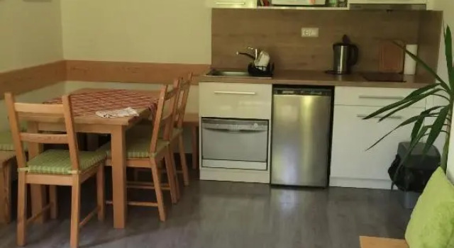 Люкс Standard Apartment Obertraun