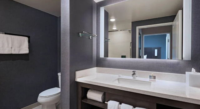 Люкс Residence Inn by Marriott St. Paul Downtown