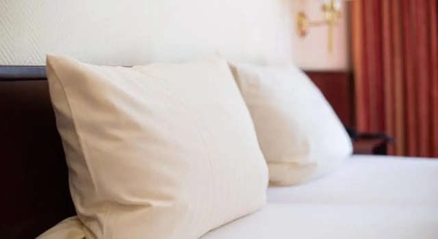 Двухместный номер Standard Hotel Haus am Zoo