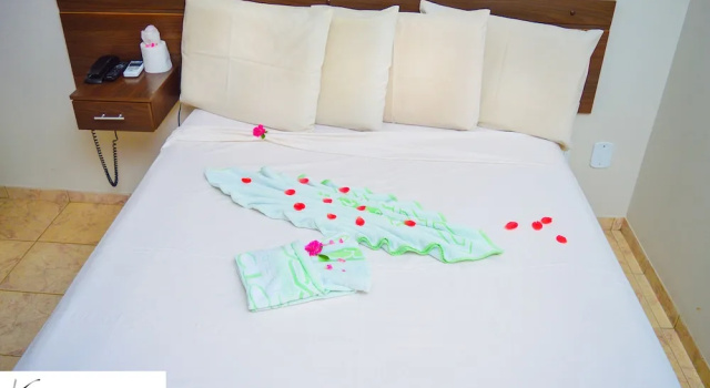 Двухместный номер Economy Victor Hotel