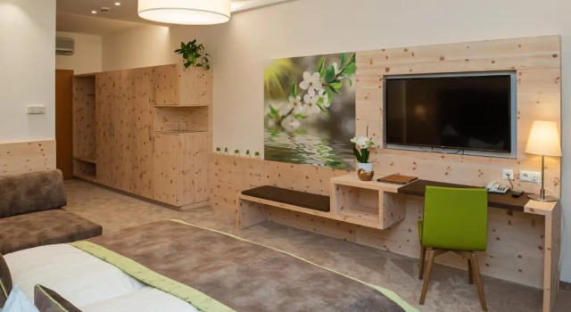Двухместный номер Standard с видом на бассейн Thermenhotel PuchasPLUS Stegersbach