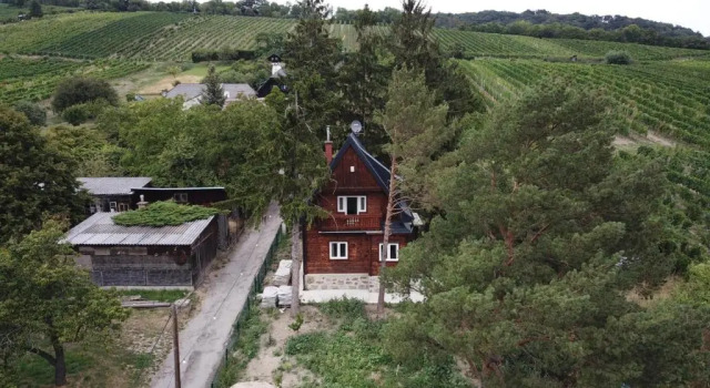 Vacationhome in the vineyards