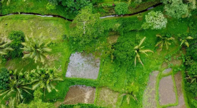 Bungalow med flodudsigt Selatan Rinjani