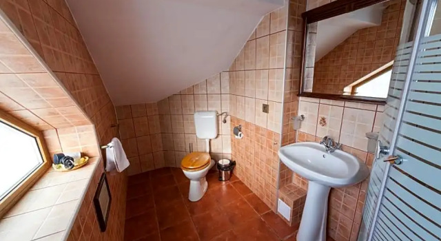 Номер Standard Pension Brasovu Vechi