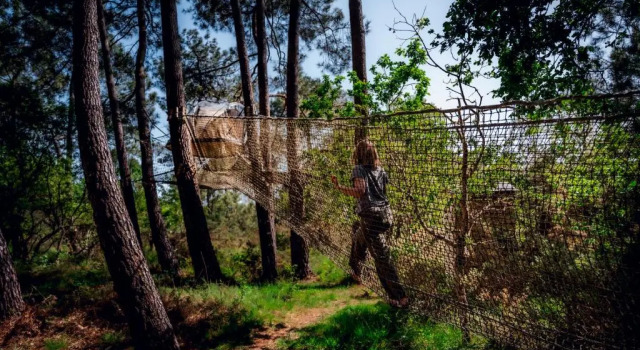 Çadır Les cabanes perchées de Dihan
