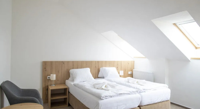 Номер Standard Amenity Penzion Horni Vestonice