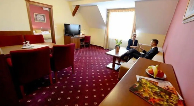 Люкс c 1 комнатой Hotel Tilia