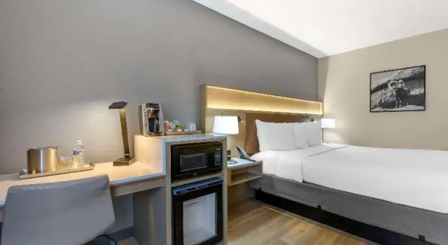 Студия Radisson Hotel Casa Grande