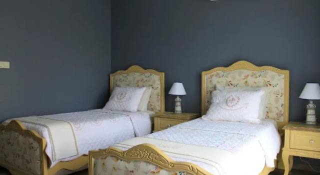 Номер Standard Nilüfer Butik Otel