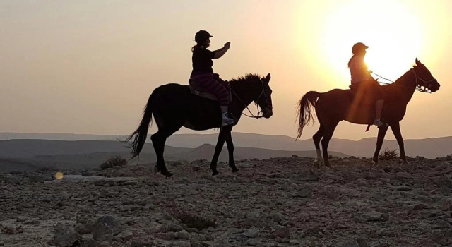 Alpaca Farm - חוות האלפקות, Reserva ahora Agroturismo Estancias en granjas en Distrito Meridional, Agroturismo
