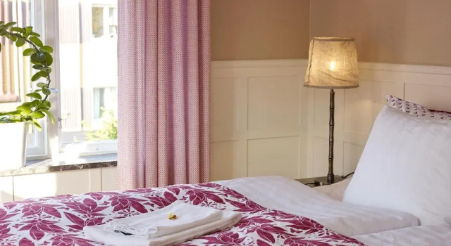 Deluxe cameră CheckInn Bed & Breakfast