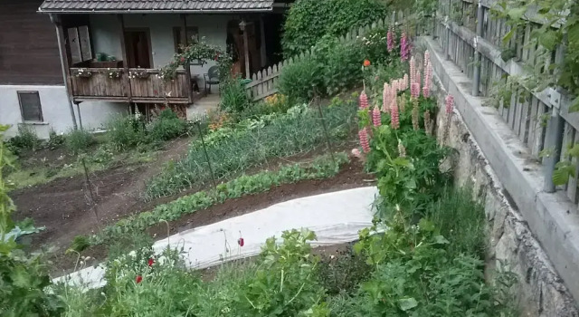 Шале Charming Chalet Near Trails