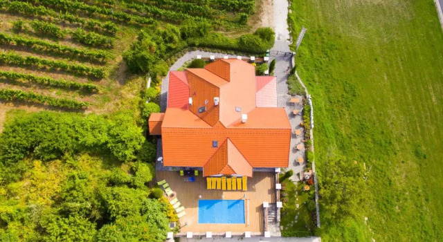 Вилла Badacsony Villa Ria