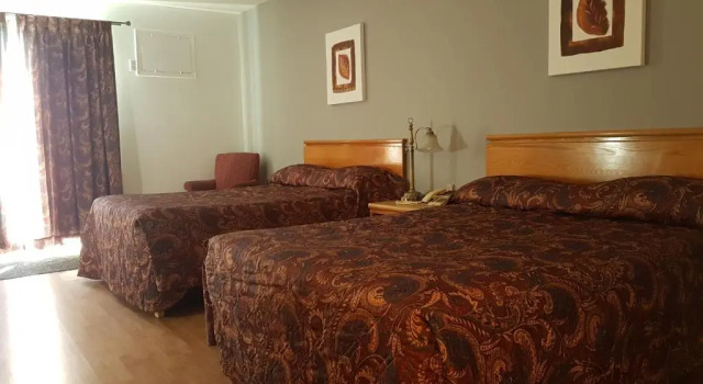 Четырёхместный номер Standard Motel les Pignons Verts
