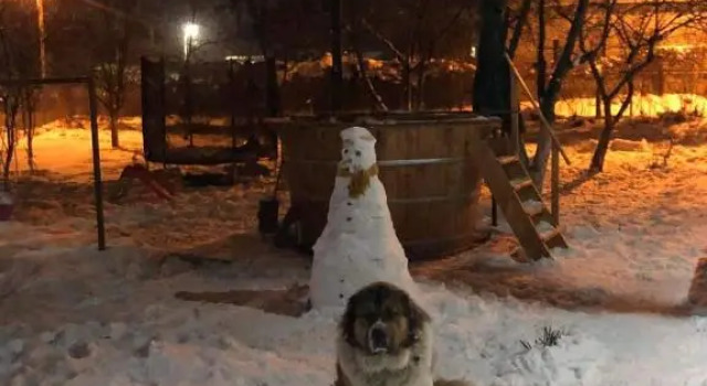 Коттедж с 4 комнатами Casa la Raisa