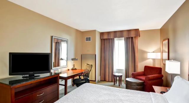 Номер Standard Hilton Garden Inn Tampa Northwest/Oldsmar