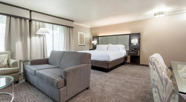 Двухместный люкс Holiday Inn Auburn by IHG