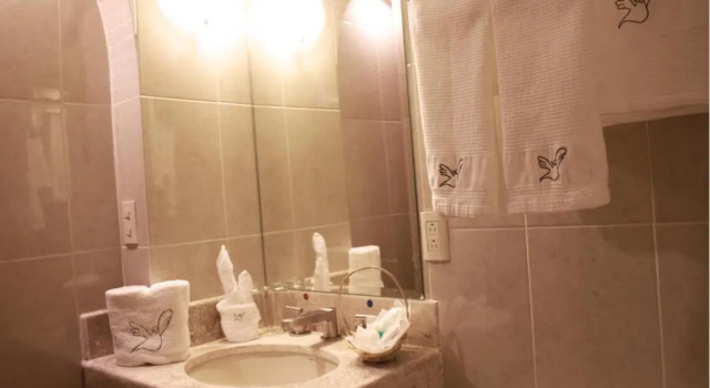 Двухместный номер Superior Hotel de la Paz