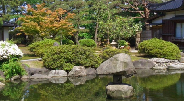 Номер Standard Tanakaya