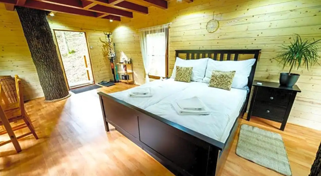 Treehouse Zlatá Koruna, Prenota Hotel Zlatá Koruna Boemia meridionale