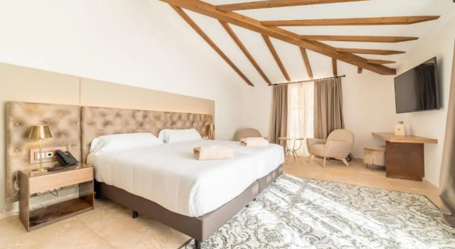 Двухместный номер Standard Hotel Creu de Tau Art & Spa