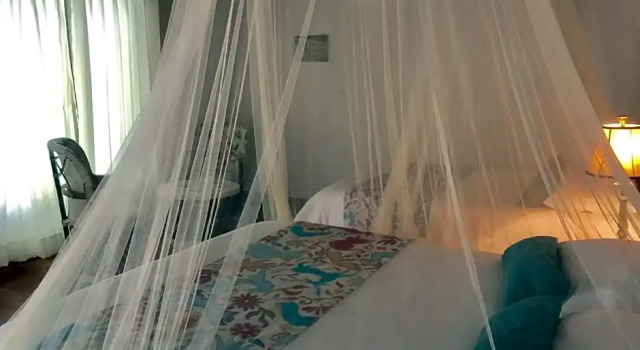 Двухместный номер Standard Ecovergel Riviera Maya Hotel Boutique Spa