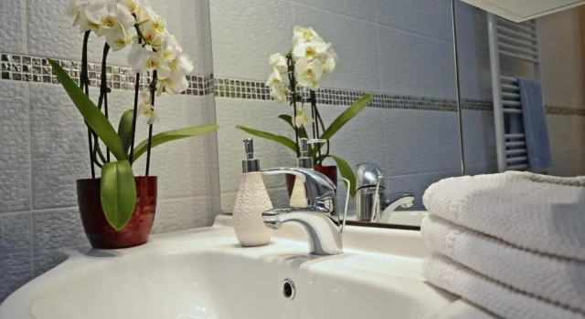 Апартаменты Deluxe Royale Apartment