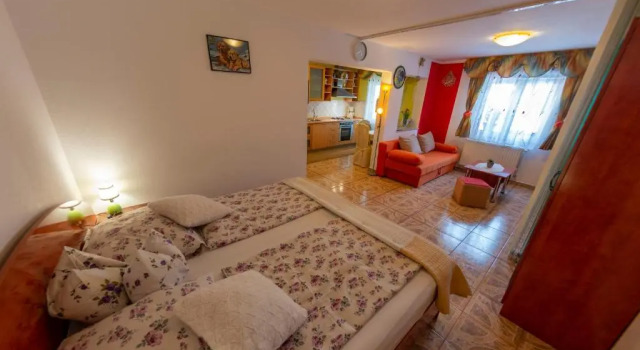 Студия с видом на бассейн Apartments Anita