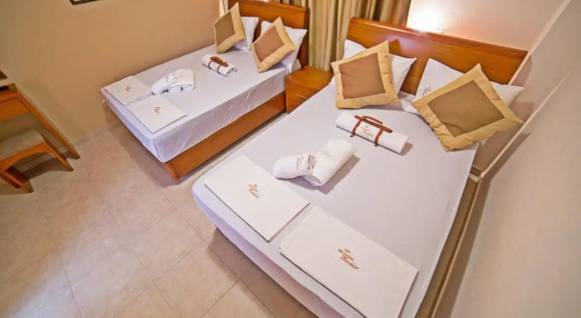 Апартаменты Pioneer Excelsior Rooms