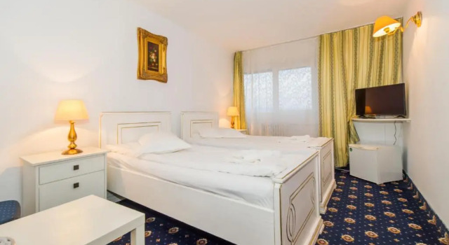 Двухместный номер Standard Hotel Cetate
