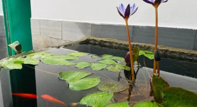 Nilv Flower Time International Youth Hostel, Book Hostel Jianshui Yunnan