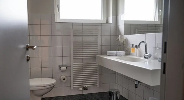Номер Economy Schäfle Feldkirch-Altenstadt