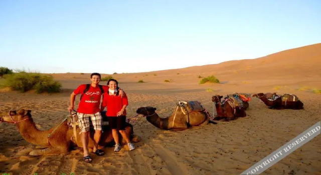 Bivouac Iguana Sahara, Rezervovat Hotel Hotely v Meknes-Tafilalet s parkováním, Parkování