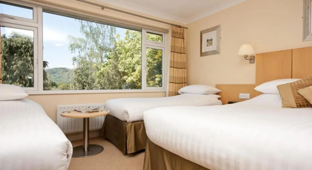 Номер Standard Lingwood Lodge
