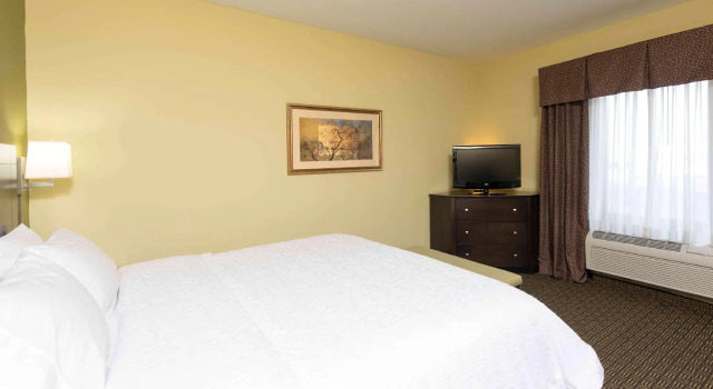 Двухместный номер Standard Hampton Inn & Suites Danville